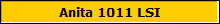 Anita 1011 LSI