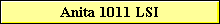 Anita 1011 LSI