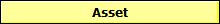 Asset