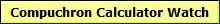 Compuchron Calculator Watch