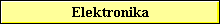 Elektronika