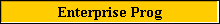 Enterprise Prog