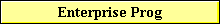 Enterprise Prog