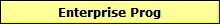 Enterprise Prog